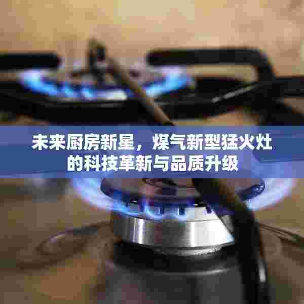 未来厨房新星，煤气新型猛火灶的科技革新与品质升级