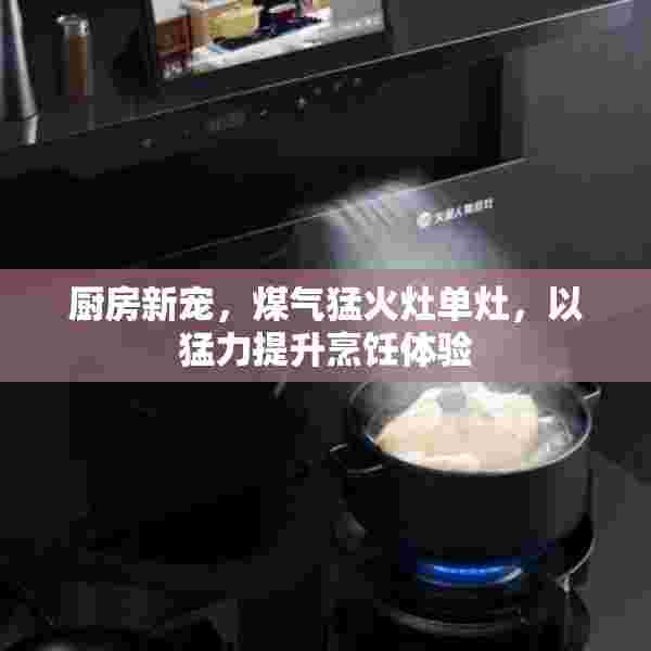 厨房新宠，煤气猛火灶单灶，以猛力提升烹饪体验