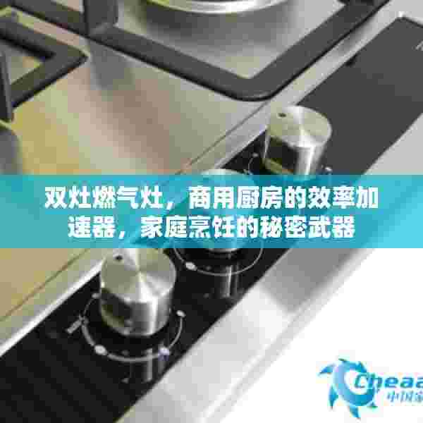双灶燃气灶，商用厨房的效率加速器，家庭烹饪的秘密武器