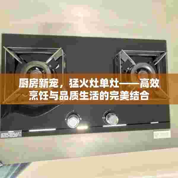 厨房新宠，猛火灶单灶——高效烹饪与品质生活的完美结合