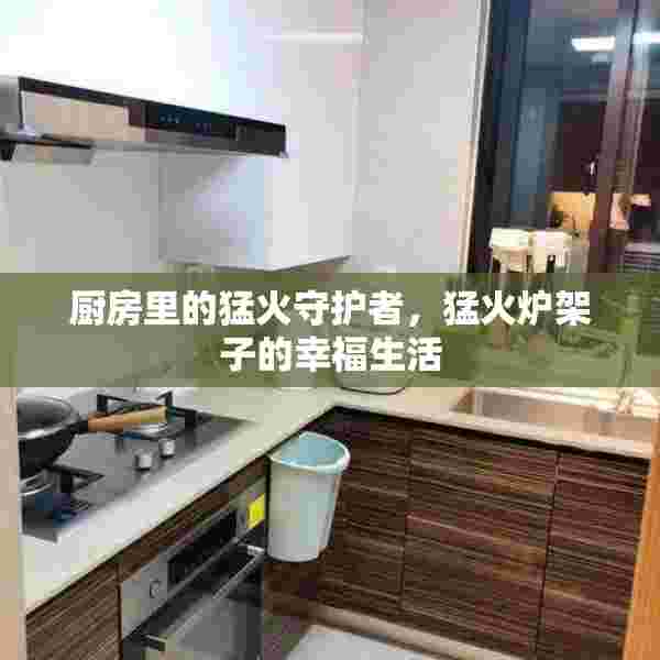厨房里的猛火守护者，猛火炉架子的幸福生活