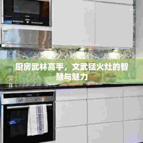 厨房武林高手，文武猛火灶的智慧与魅力