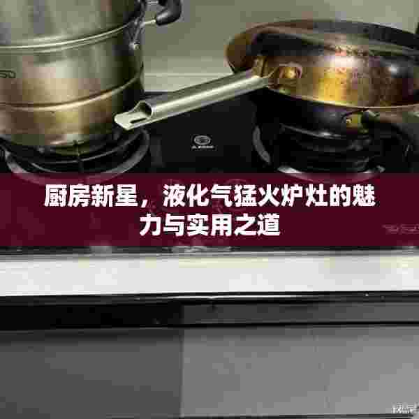 厨房新星，液化气猛火炉灶的魅力与实用之道