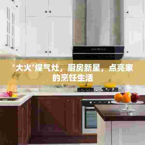 ‘大火’煤气灶，厨房新星，点亮家的烹饪生活