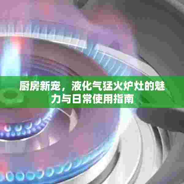 厨房新宠，液化气猛火炉灶的魅力与日常使用指南
