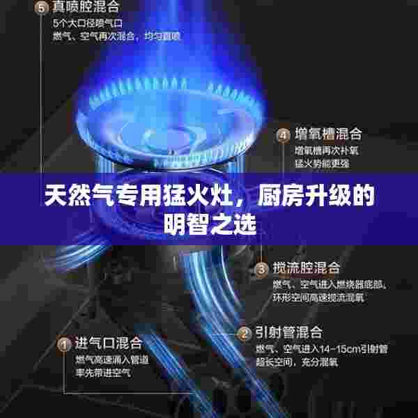 天然气专用猛火灶，厨房升级的明智之选