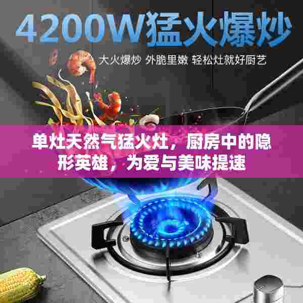 单灶天然气猛火灶，厨房中的隐形英雄，为爱与美味提速