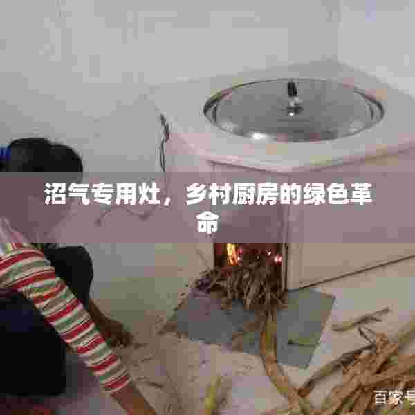 沼气专用灶，乡村厨房的绿色革命