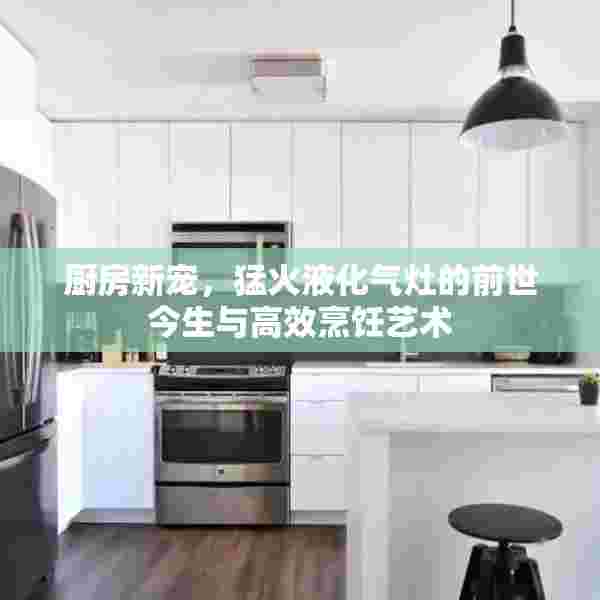 厨房新宠，猛火液化气灶的前世今生与高效烹饪艺术