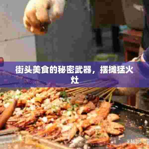 街头美食的秘密武器，摆摊猛火灶