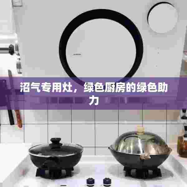 沼气专用灶，绿色厨房的绿色助力