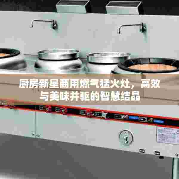 厨房新星商用燃气猛火灶，高效与美味并驱的智慧结晶