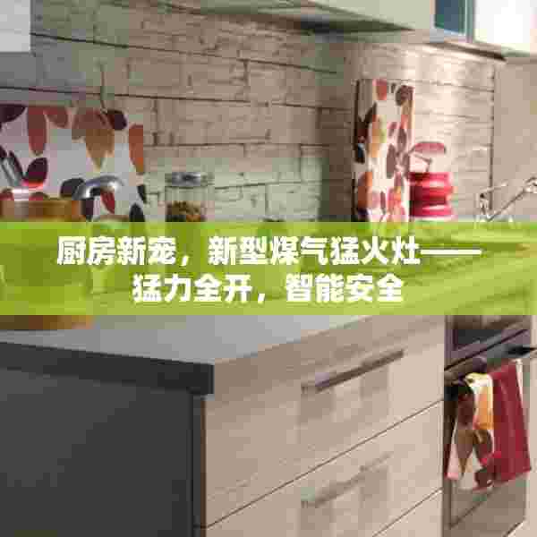 厨房新宠，新型煤气猛火灶——猛力全开，智能安全