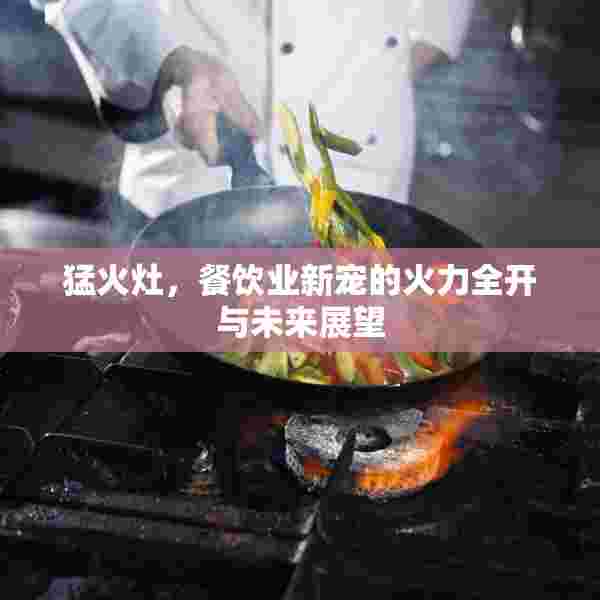 猛火灶，餐饮业新宠的火力全开与未来展望