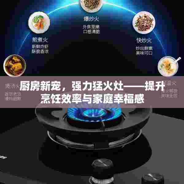 厨房新宠，强力猛火灶——提升烹饪效率与家庭幸福感