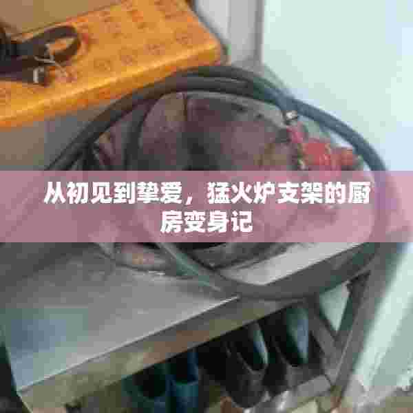 从初见到挚爱，猛火炉支架的厨房变身记