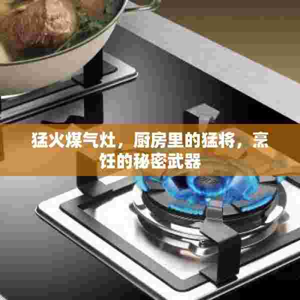 猛火煤气灶，厨房里的猛将，烹饪的秘密武器