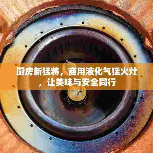 厨房新猛将，商用液化气猛火灶，让美味与安全同行
