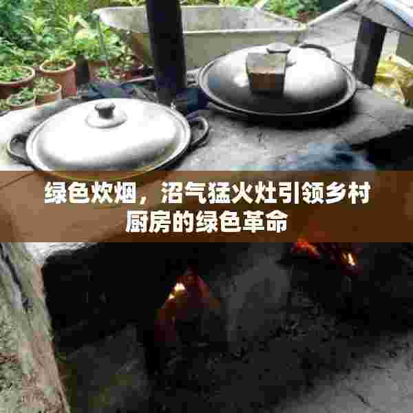 绿色炊烟，沼气猛火灶引领乡村厨房的绿色革命
