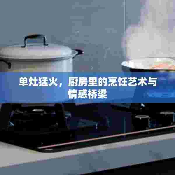 单灶猛火，厨房里的烹饪艺术与情感桥梁