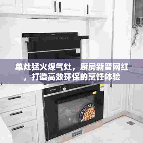 单灶猛火煤气灶，厨房新晋网红，打造高效环保的烹饪体验