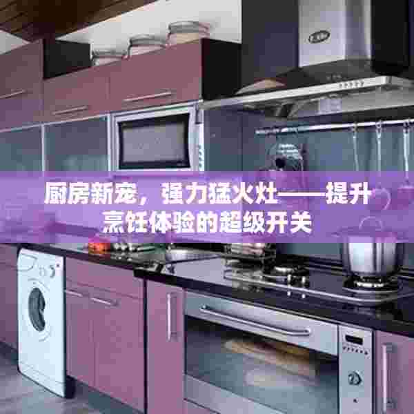 厨房新宠，强力猛火灶——提升烹饪体验的超级开关