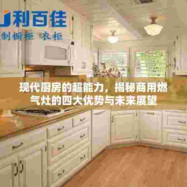 现代厨房的超能力，揭秘商用燃气灶的四大优势与未来展望