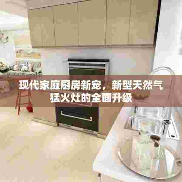 现代家庭厨房新宠，新型天然气猛火灶的全面升级