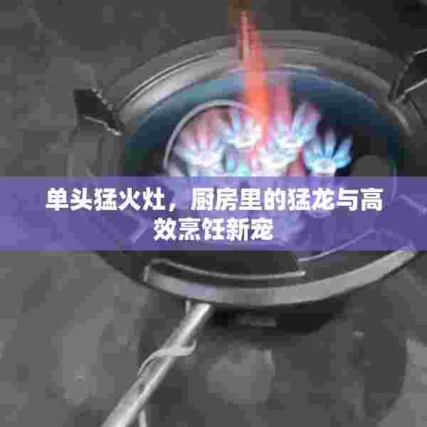 单头猛火灶，厨房里的猛龙与高效烹饪新宠