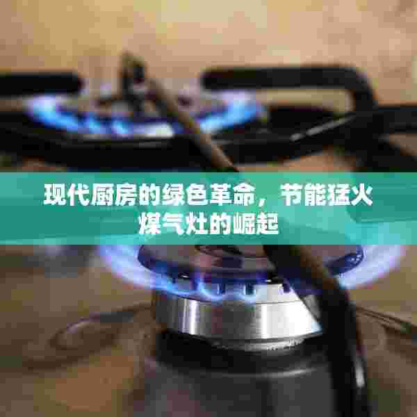 现代厨房的绿色革命，节能猛火煤气灶的崛起
