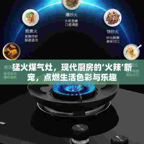 猛火煤气灶，现代厨房的‘火辣’新宠，点燃生活色彩与乐趣