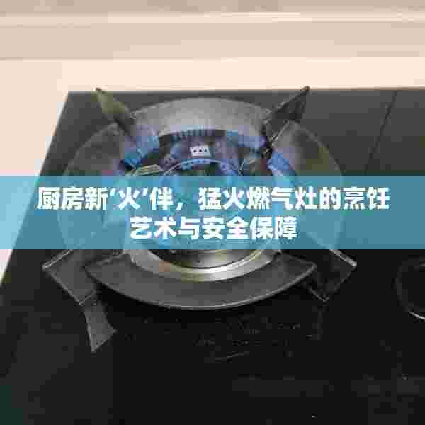 厨房新‘火’伴，猛火燃气灶的烹饪艺术与安全保障
