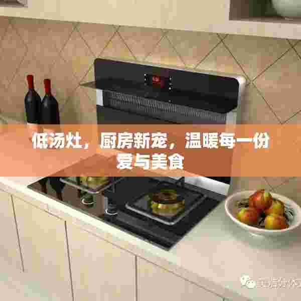 低汤灶，厨房新宠，温暖每一份爱与美食