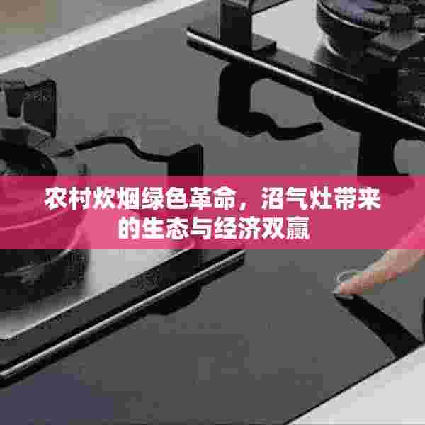 农村炊烟绿色革命，沼气灶带来的生态与经济双赢