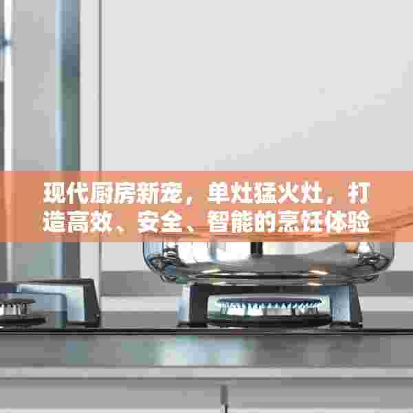 现代厨房新宠，单灶猛火灶，打造高效、安全、智能的烹饪体验