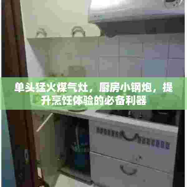 单头猛火煤气灶，厨房小钢炮，提升烹饪体验的必备利器