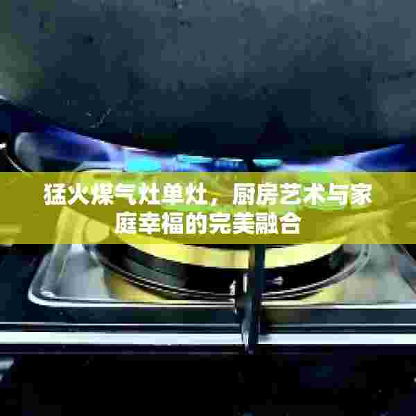 猛火煤气灶单灶，厨房艺术与家庭幸福的完美融合