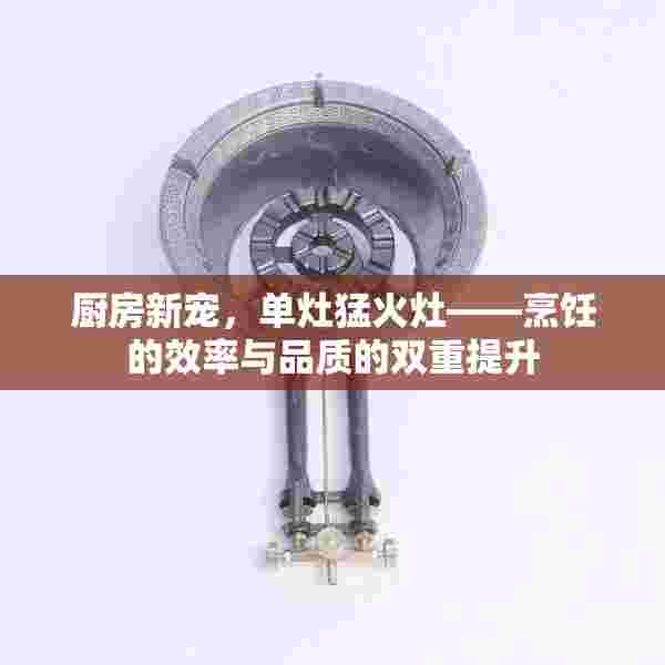 厨房新宠，单灶猛火灶——烹饪的效率与品质的双重提升