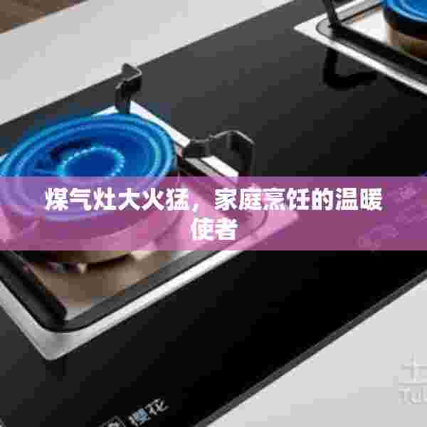 煤气灶大火猛，家庭烹饪的温暖使者