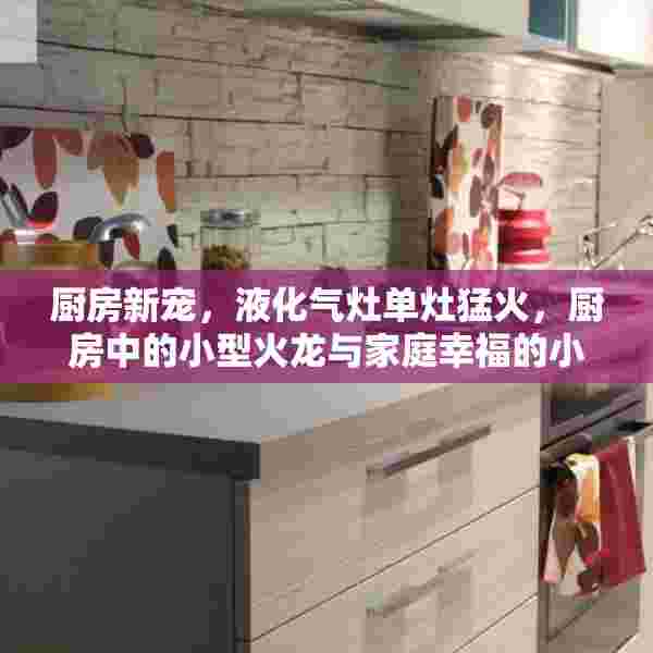 厨房新宠，液化气灶单灶猛火，厨房中的小型火龙与家庭幸福的小小见证者