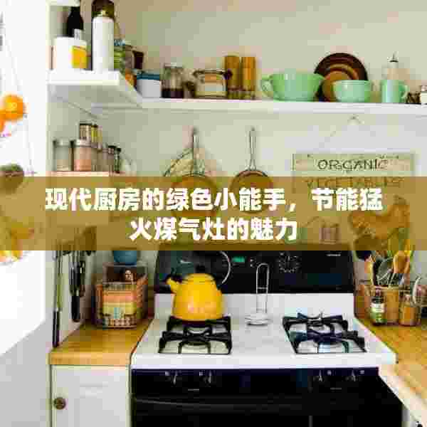 现代厨房的绿色小能手，节能猛火煤气灶的魅力
