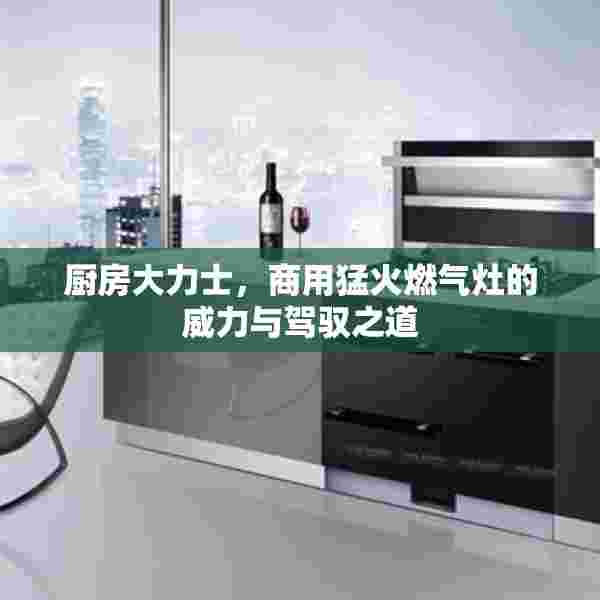 厨房大力士，商用猛火燃气灶的威力与驾驭之道