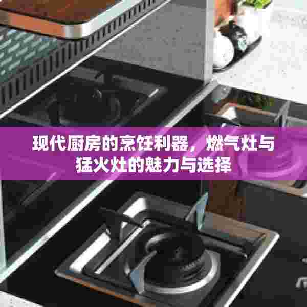 现代厨房的烹饪利器，燃气灶与猛火灶的魅力与选择