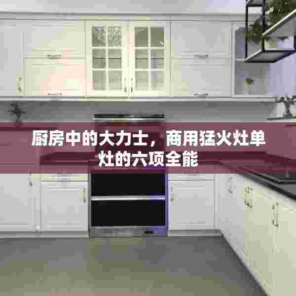 厨房中的大力士，商用猛火灶单灶的六项全能