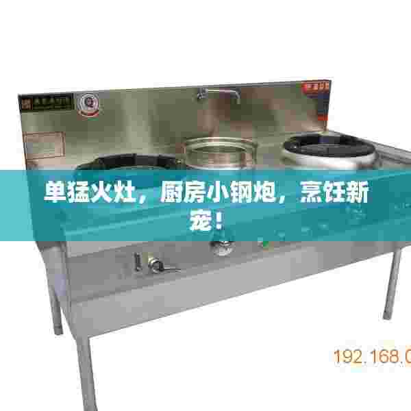 单猛火灶，厨房小钢炮，烹饪新宠！