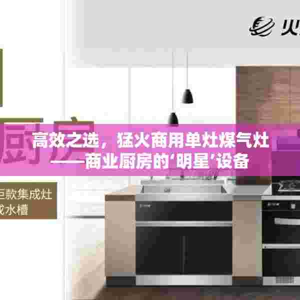 高效之选，猛火商用单灶煤气灶——商业厨房的‘明星’设备