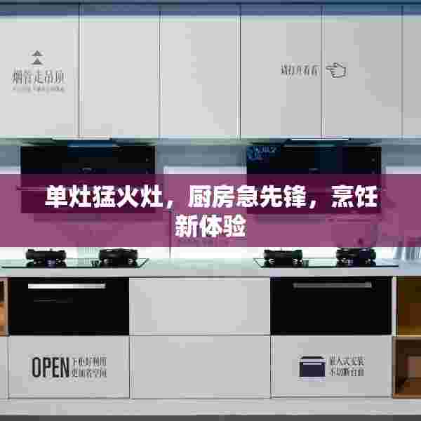 单灶猛火灶，厨房急先锋，烹饪新体验