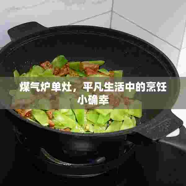 煤气炉单灶，平凡生活中的烹饪小确幸