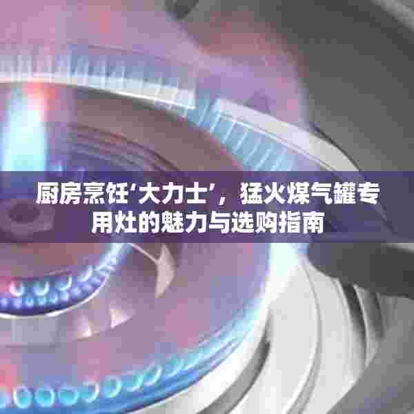 厨房烹饪‘大力士’，猛火煤气罐专用灶的魅力与选购指南