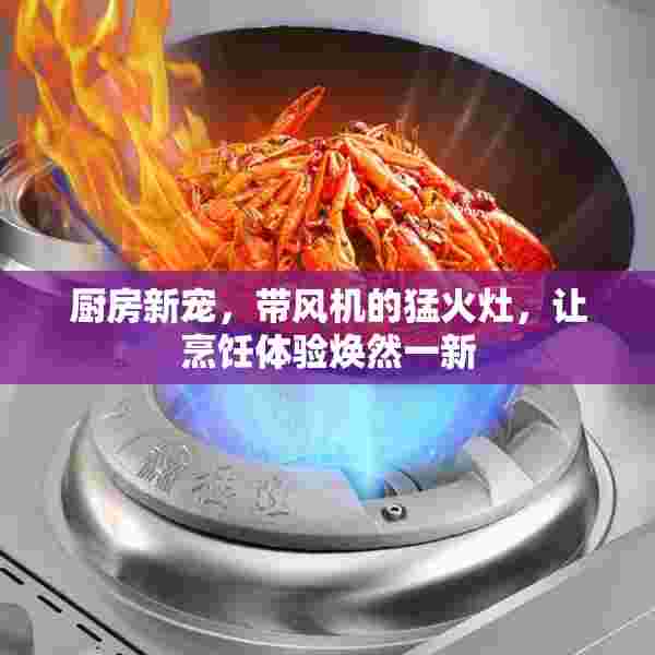 厨房新宠，带风机的猛火灶，让烹饪体验焕然一新